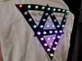 LED jacket David back detail