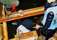 Trafo-Pop_DSC_8575.jpg