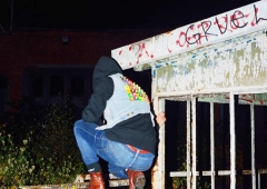 Trafo-Pop_DSC_8617.jpg